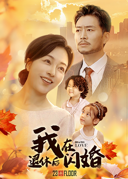 我在退休后闪婚海报