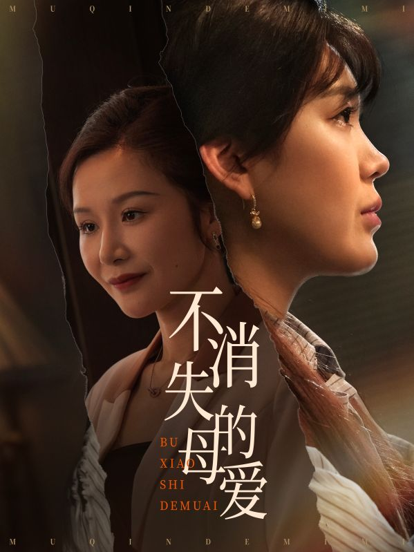 不消失的母爱海报