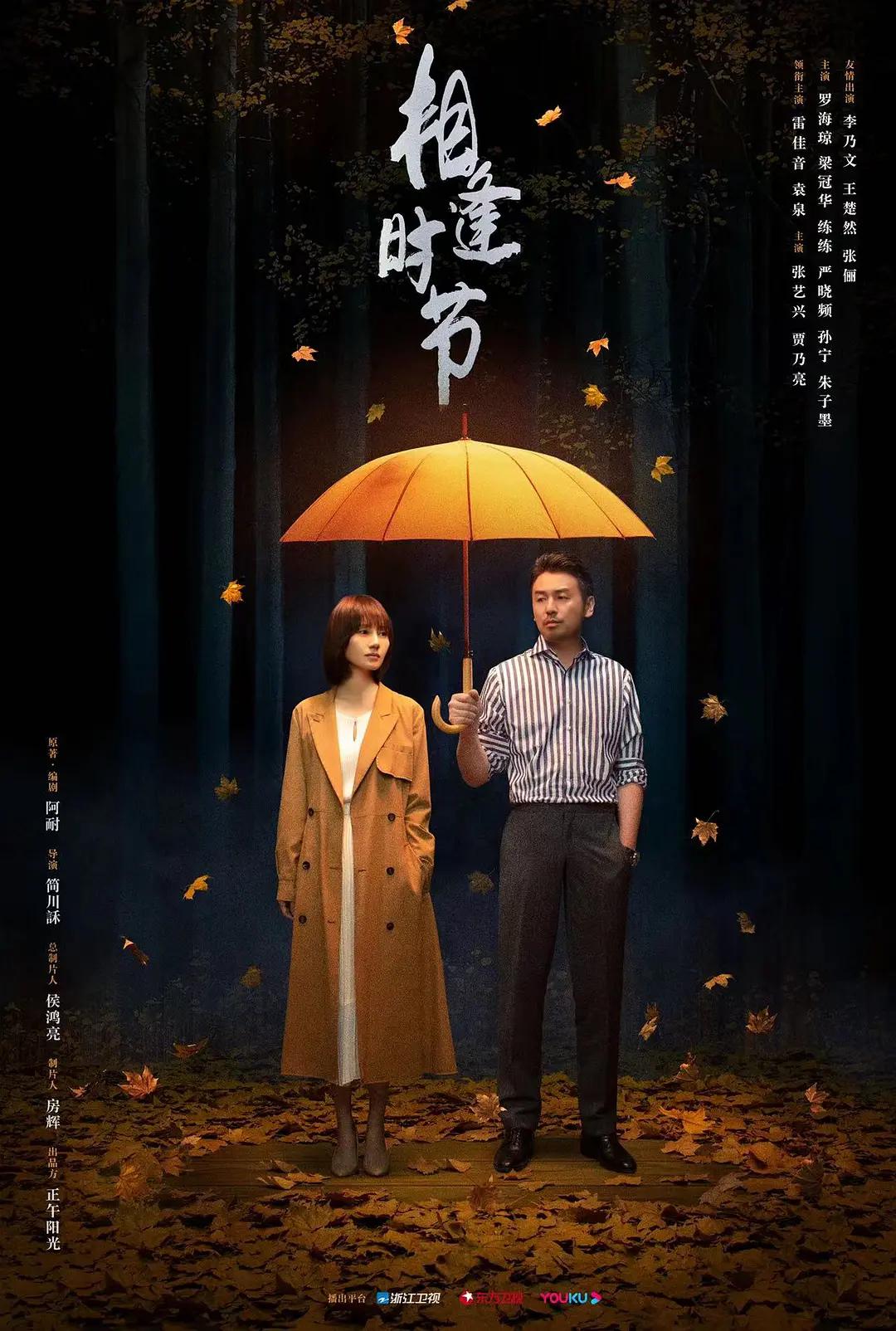 相逢时节海报