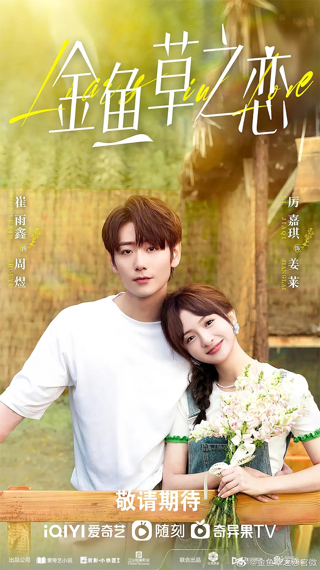 无法抗拒的谎言海报
