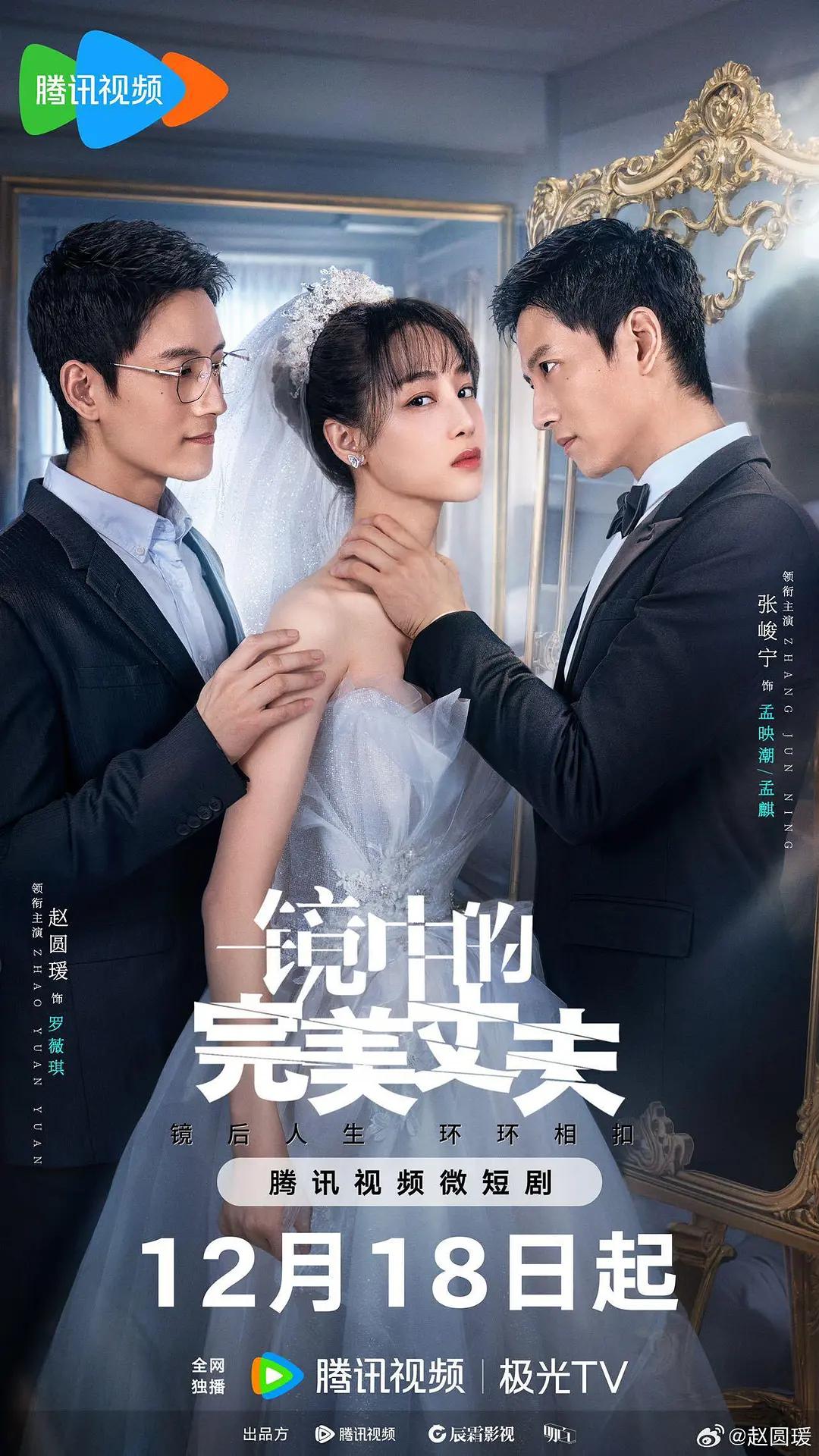 镜中的完美丈夫海报