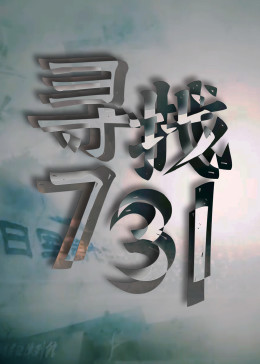 寻找731海报