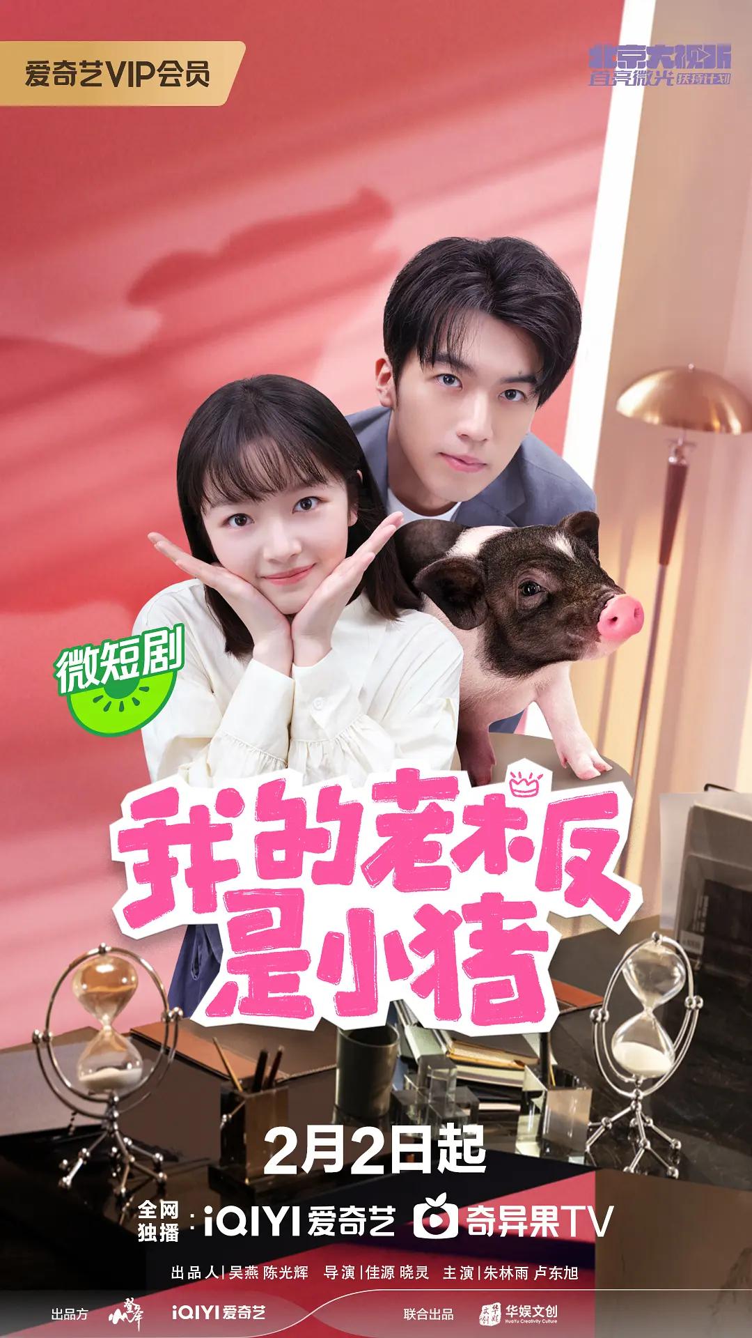 我的老板是小猪海报