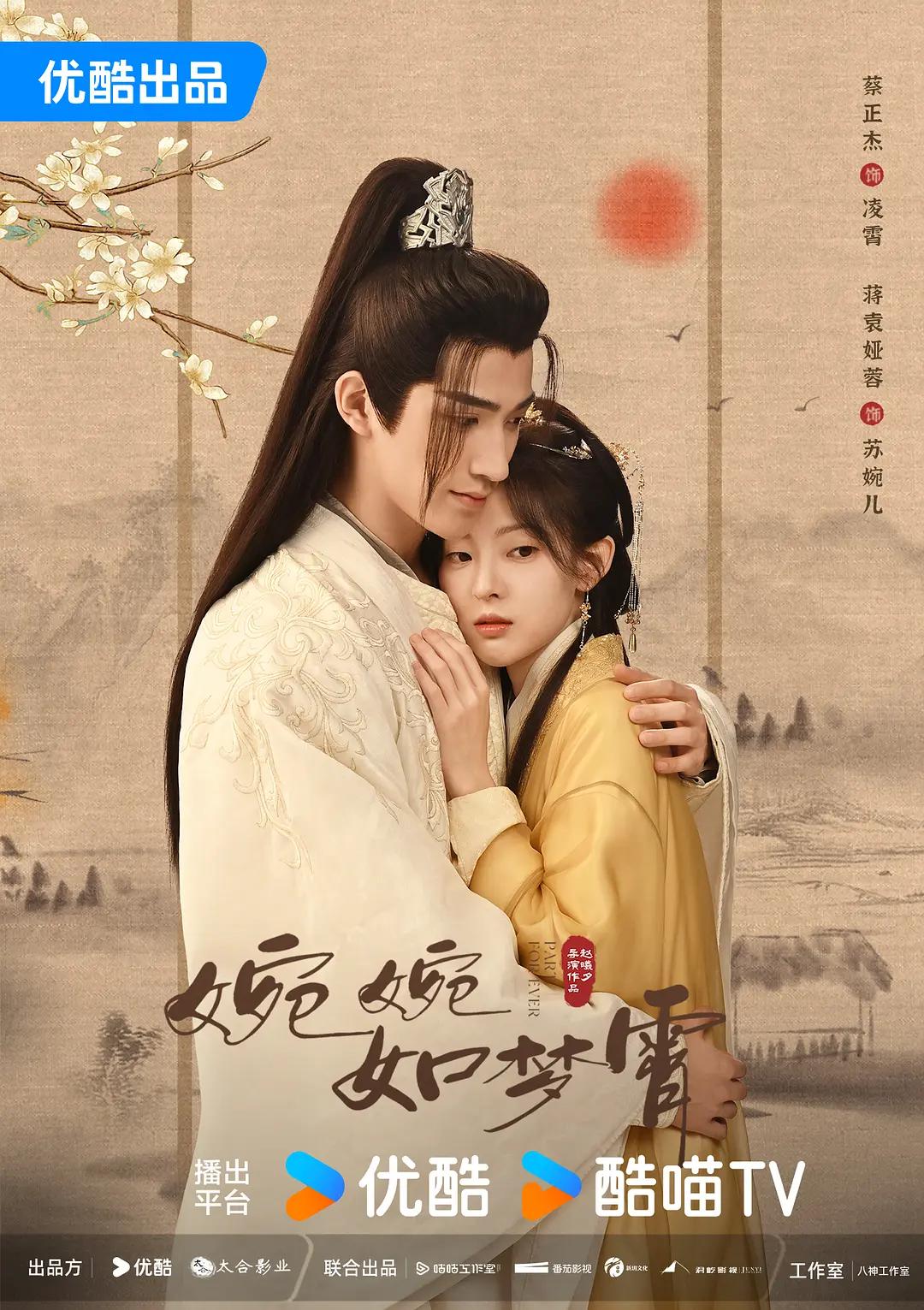婉婉如梦霄海报