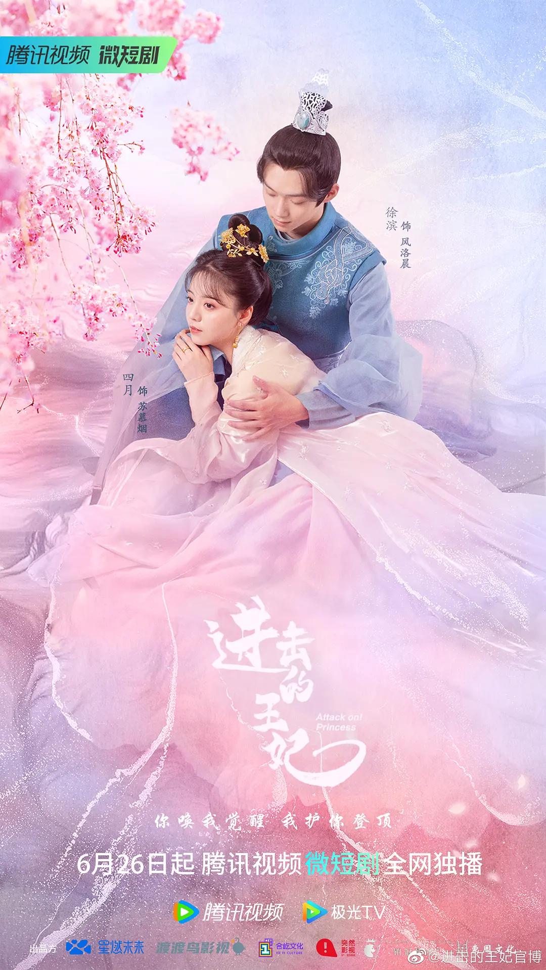 进击的王妃海报