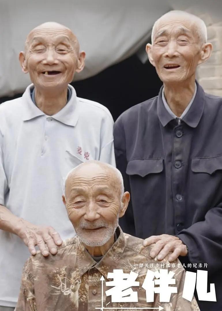 老伴儿海报