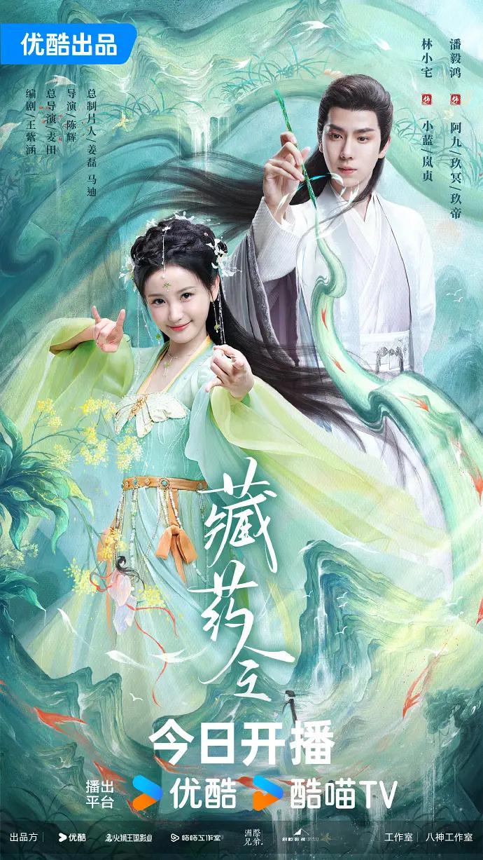 藏药令海报
