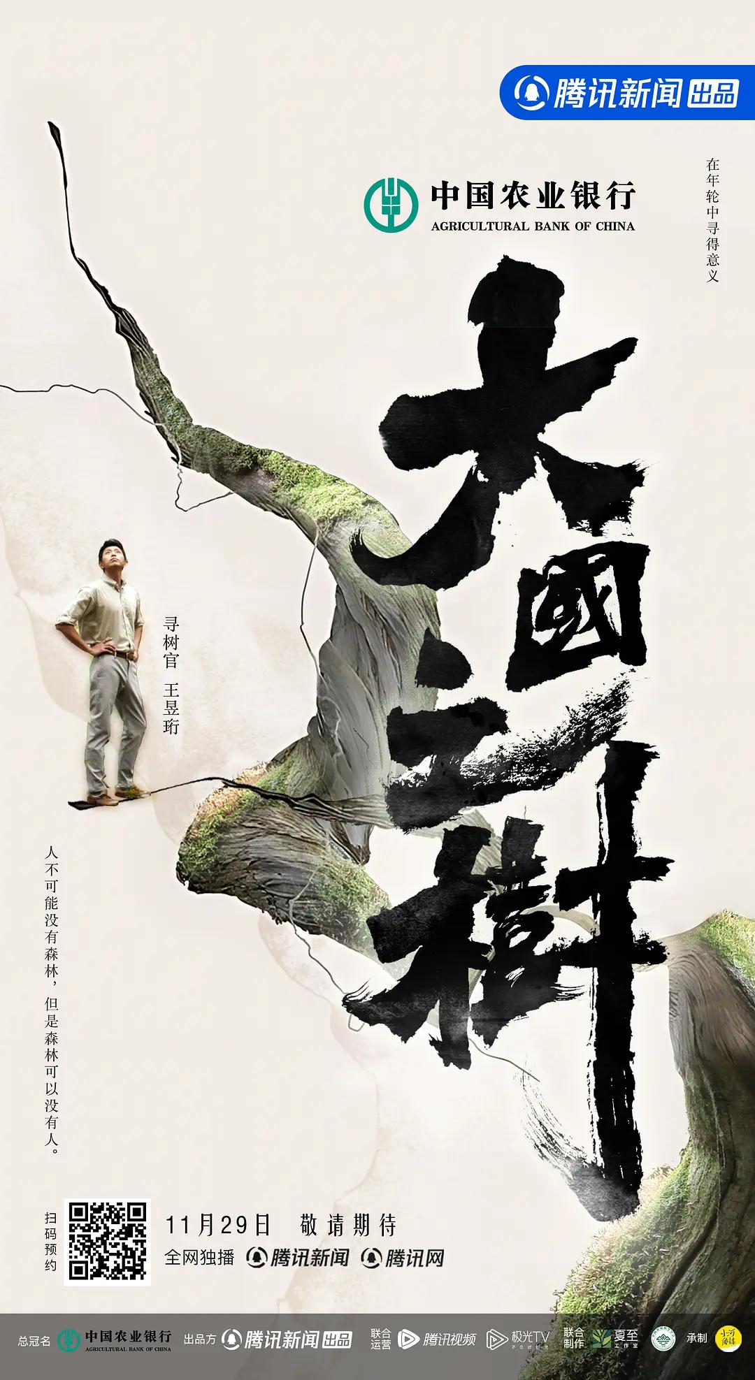 大国之树海报