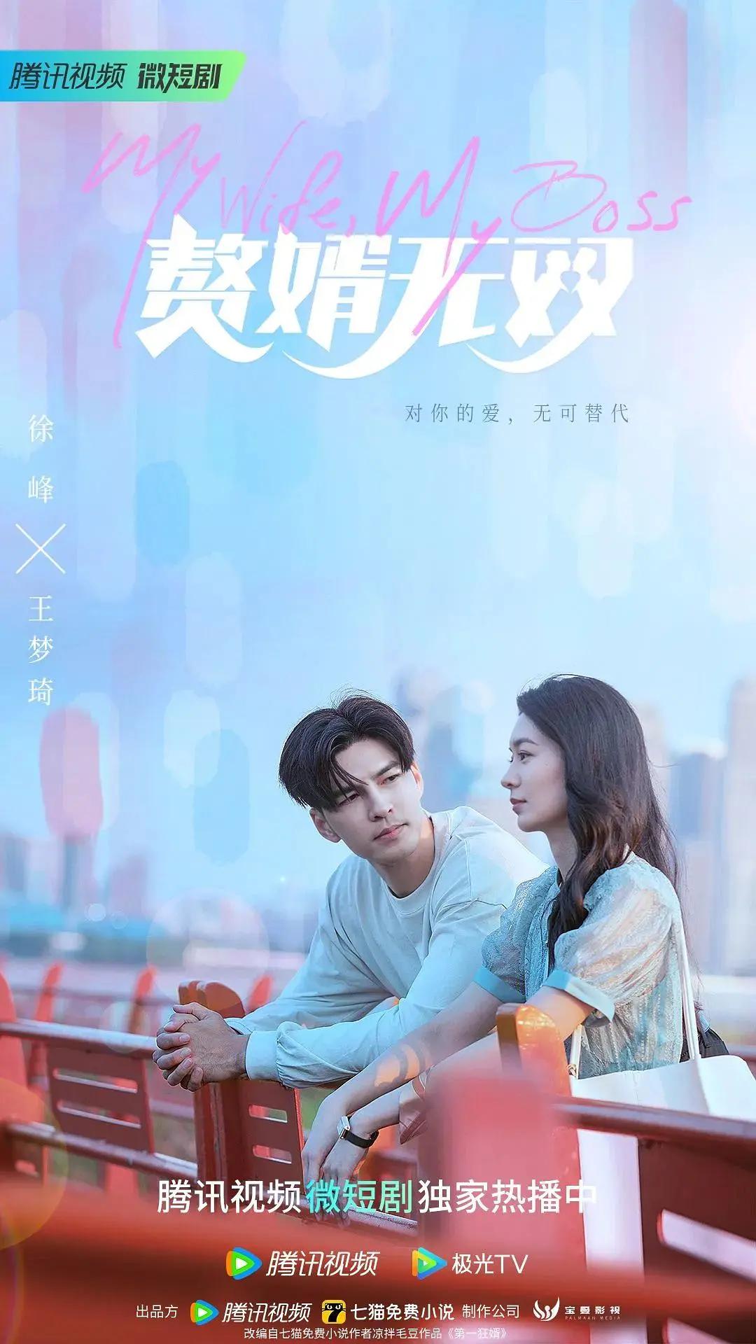 赘婿无双海报