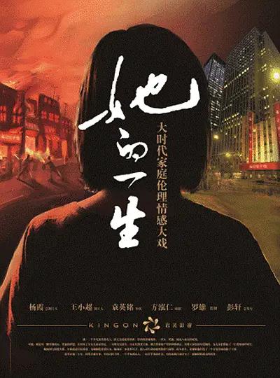 她的一生2012海报