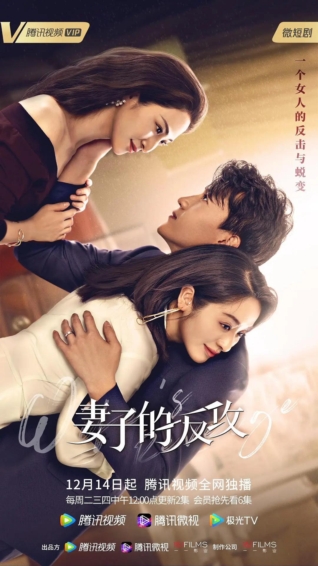 妻子的反攻海报