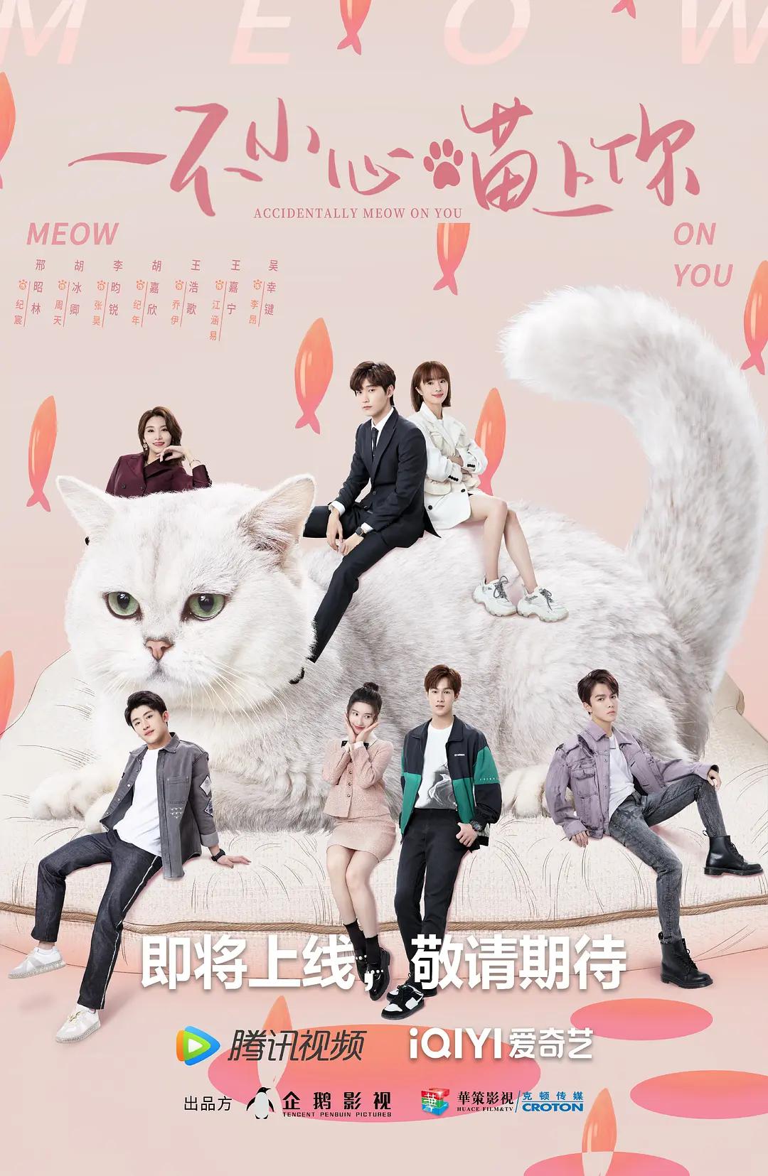 一不小心喵上你海报
