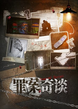 罪案奇谈海报