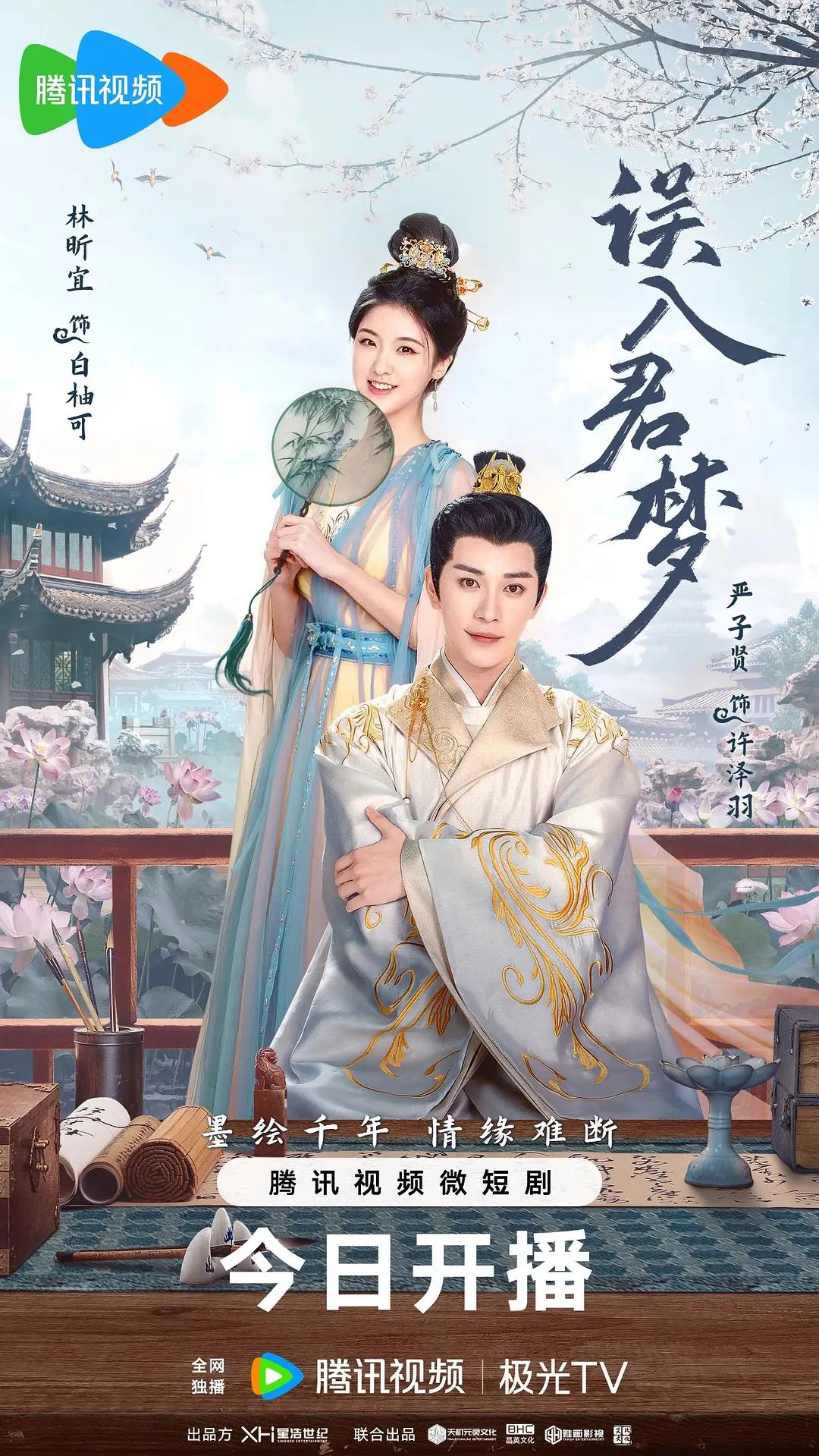 误入君梦海报