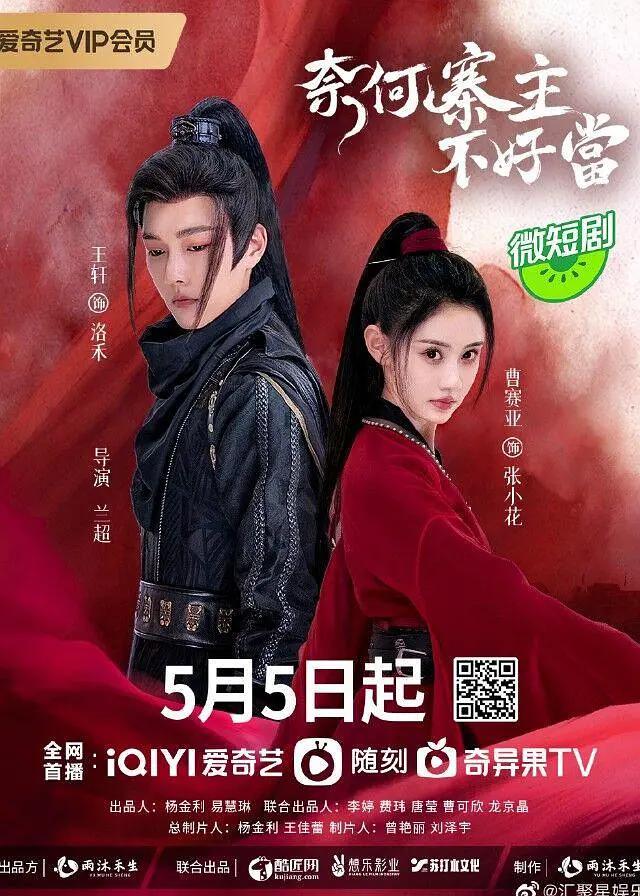 奈何寨主不好当海报