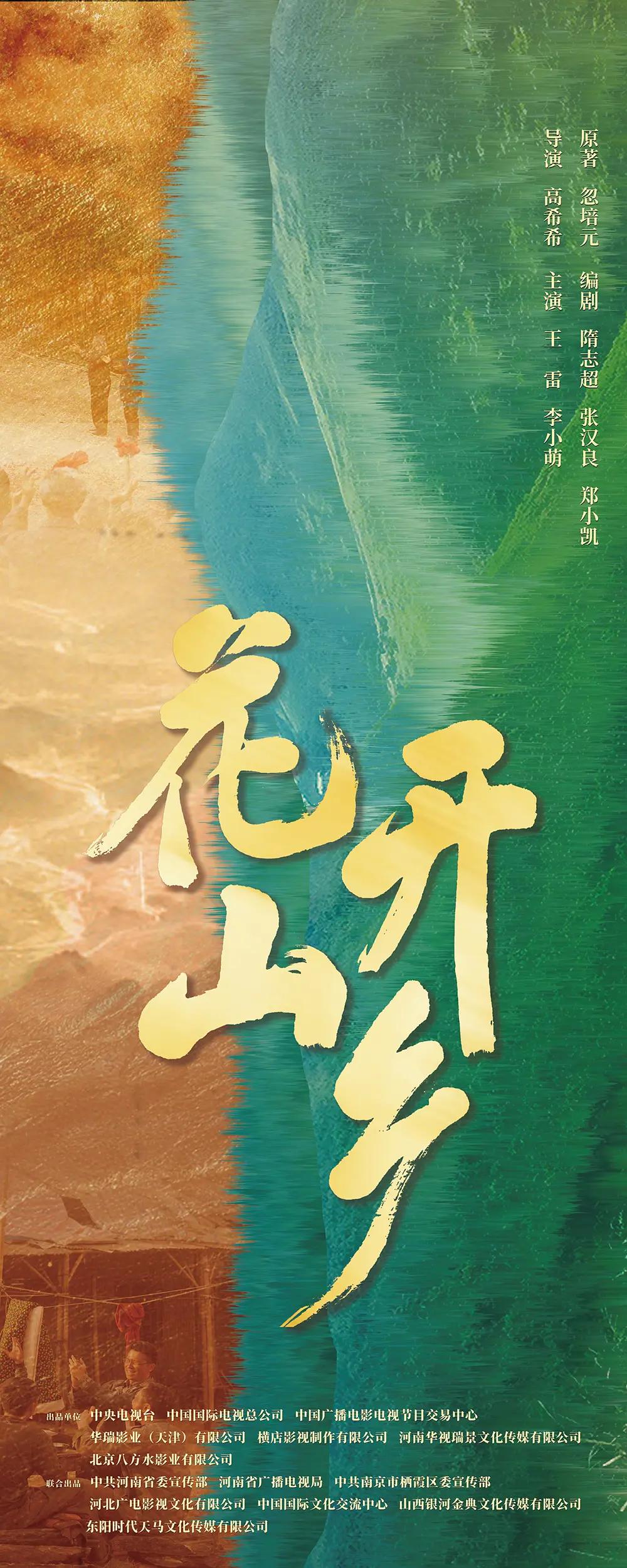 花开山乡海报