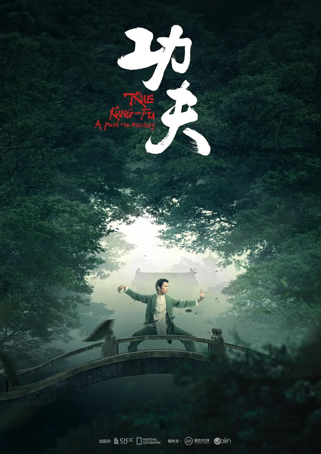 功夫2023海报