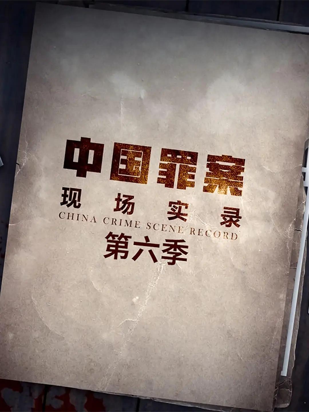 罪案现场实录第六季海报