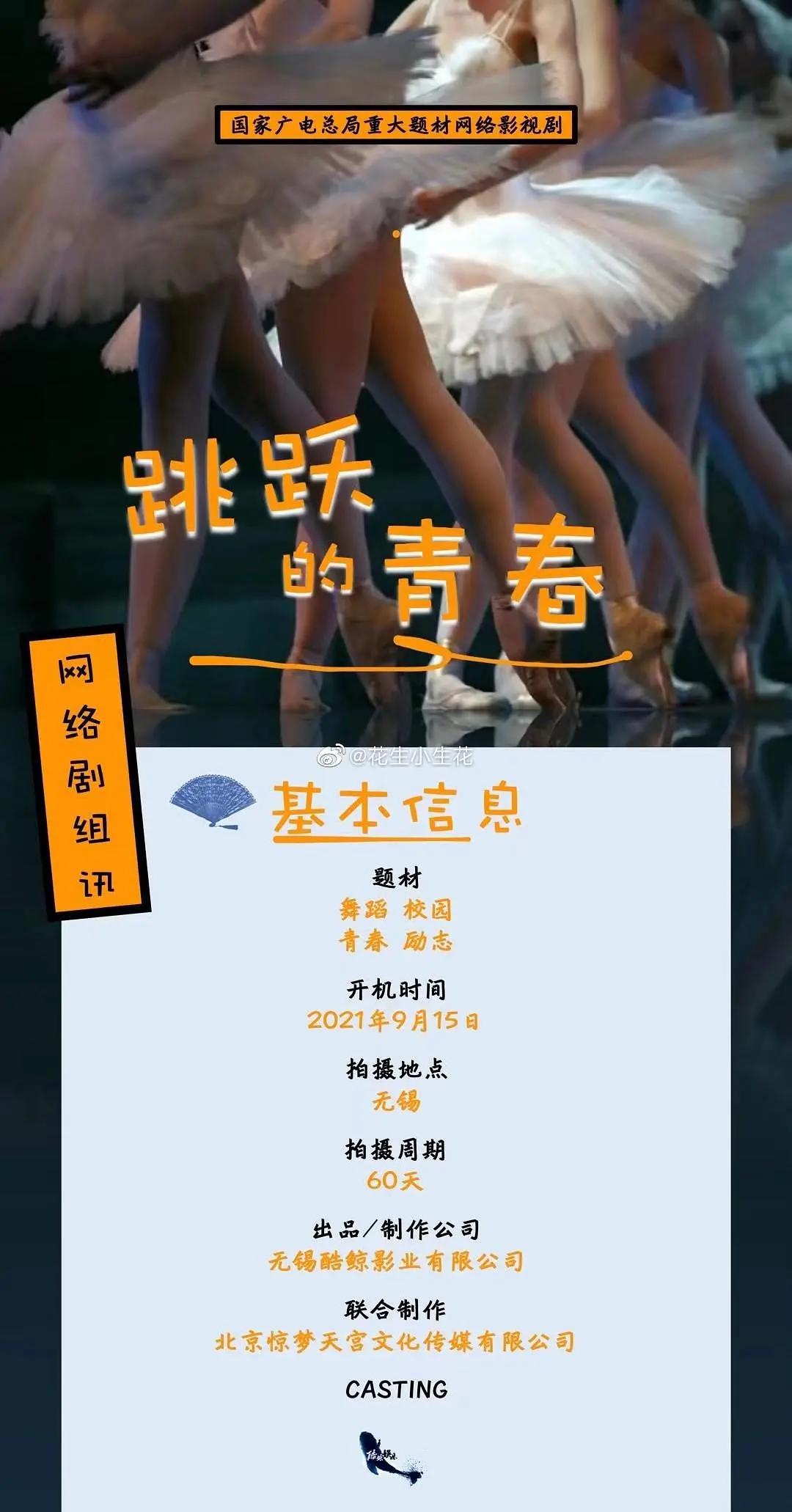 踮起脚尖靠近你海报