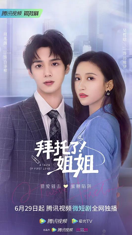 拜托了！姐姐海报