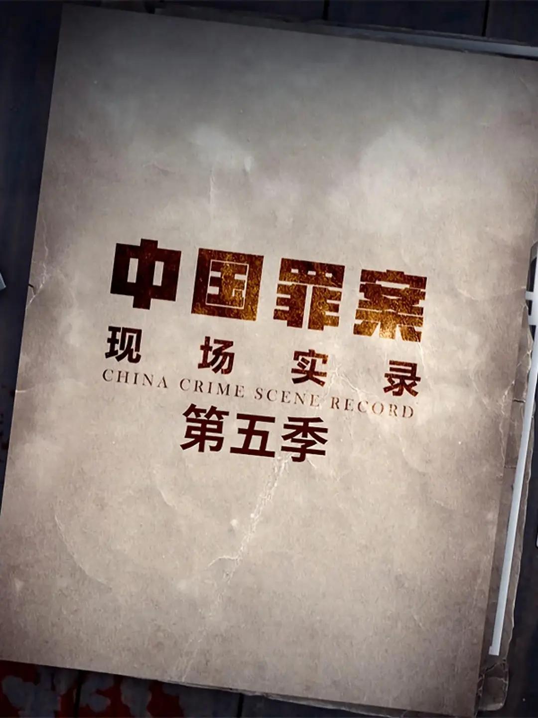罪案现场实录第五季海报