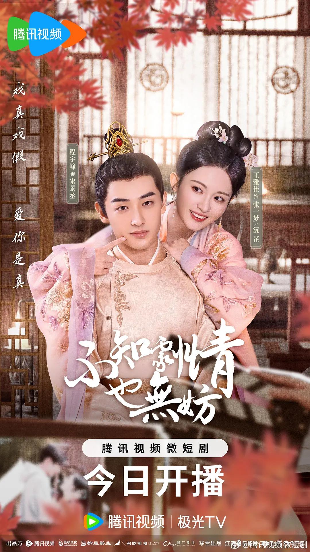 不知剧情也无妨海报