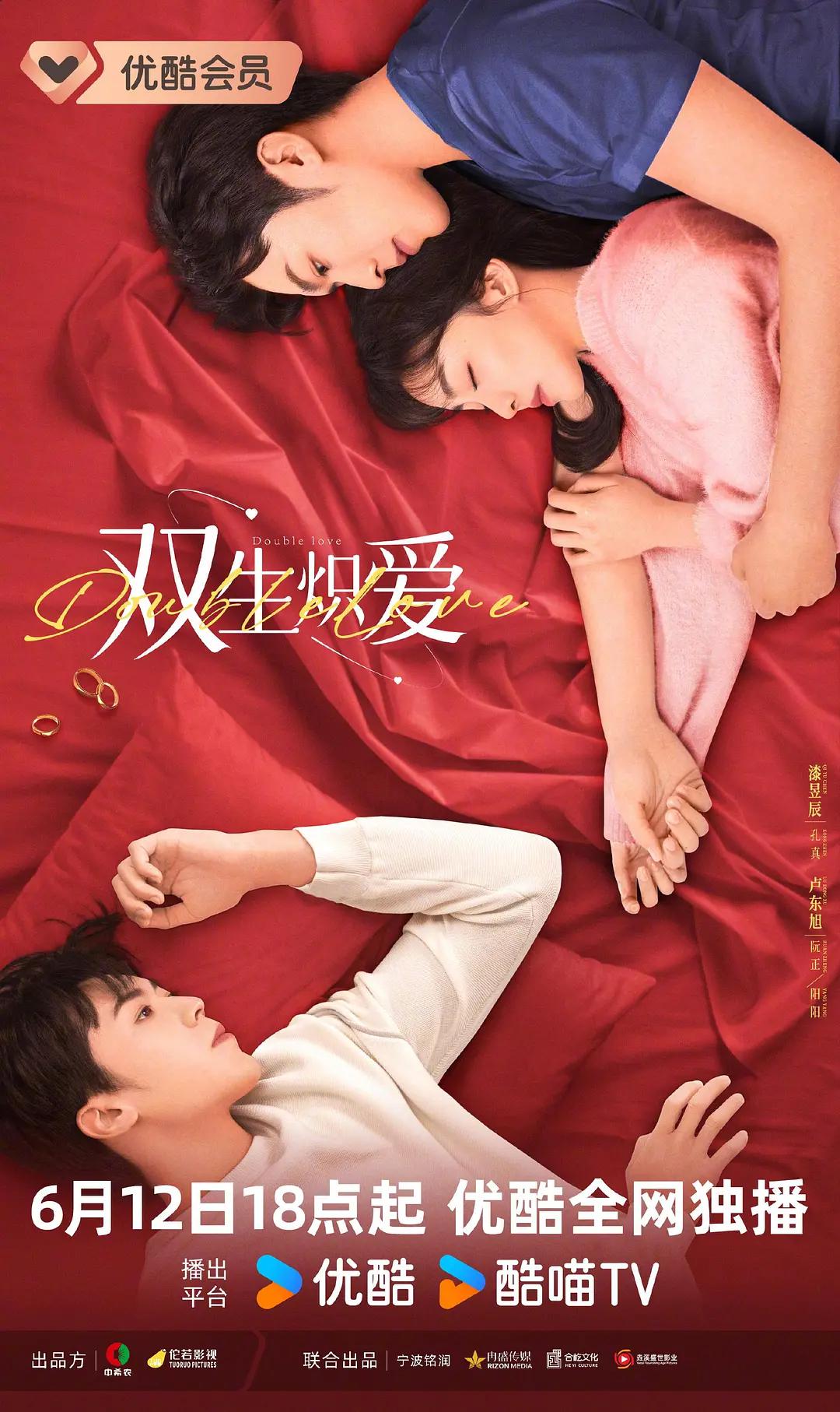 双生炽爱海报