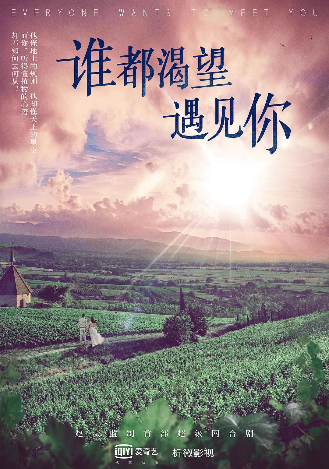 谁都渴望遇见你海报