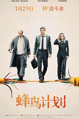 蜂鸟计划[电影解说]海报