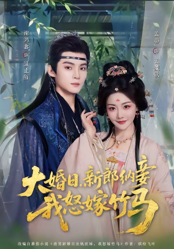 大婚日,新郎纳妾我怒嫁竹马海报